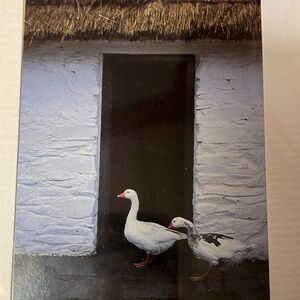 Charming Goose Wall Art